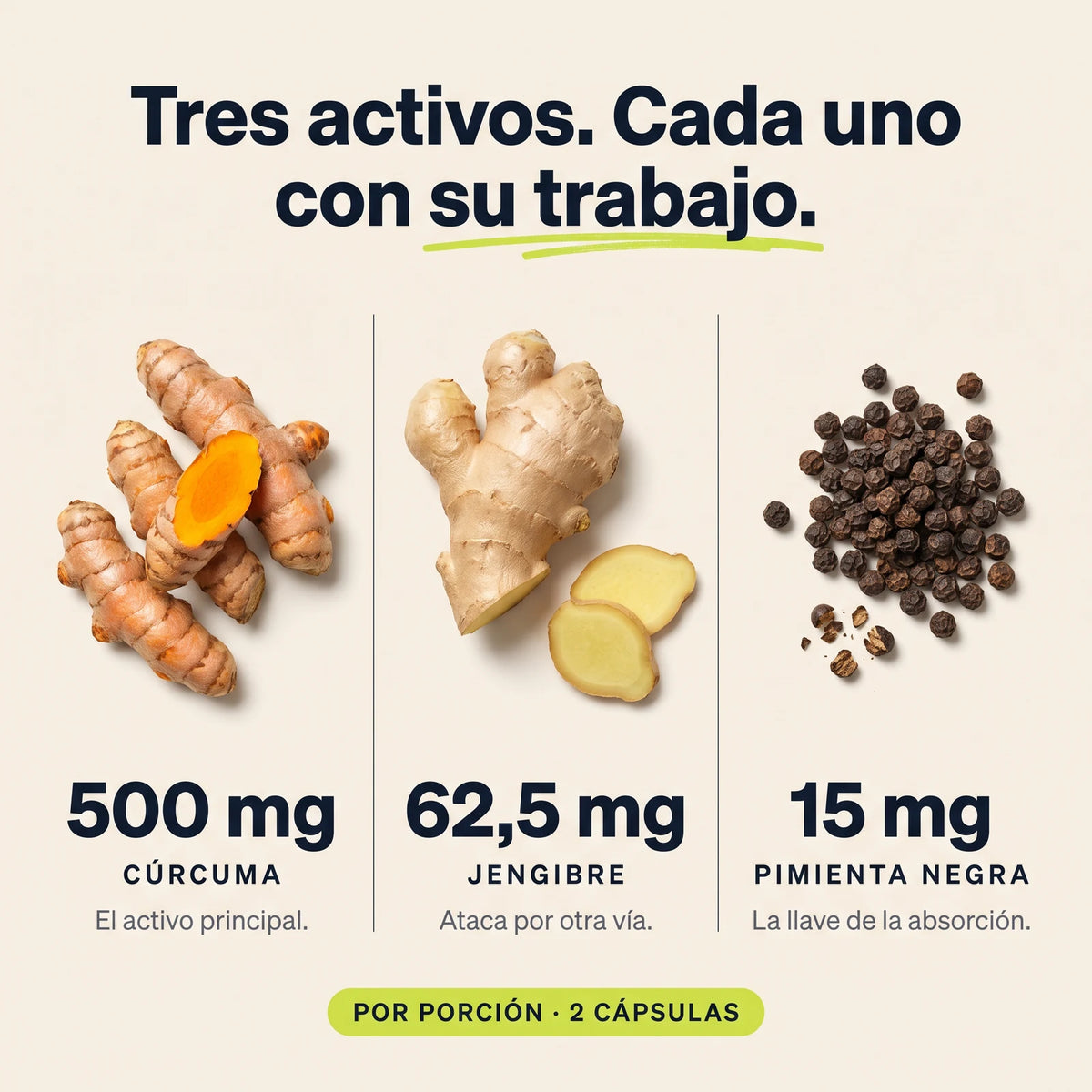 Los tres activos: cúrcuma, jengibre y pimienta negra con sus dosis
