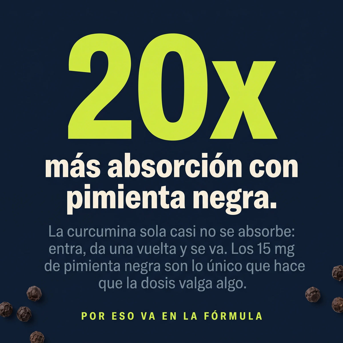 20 veces más absorción de curcumina con extracto de pimienta negra