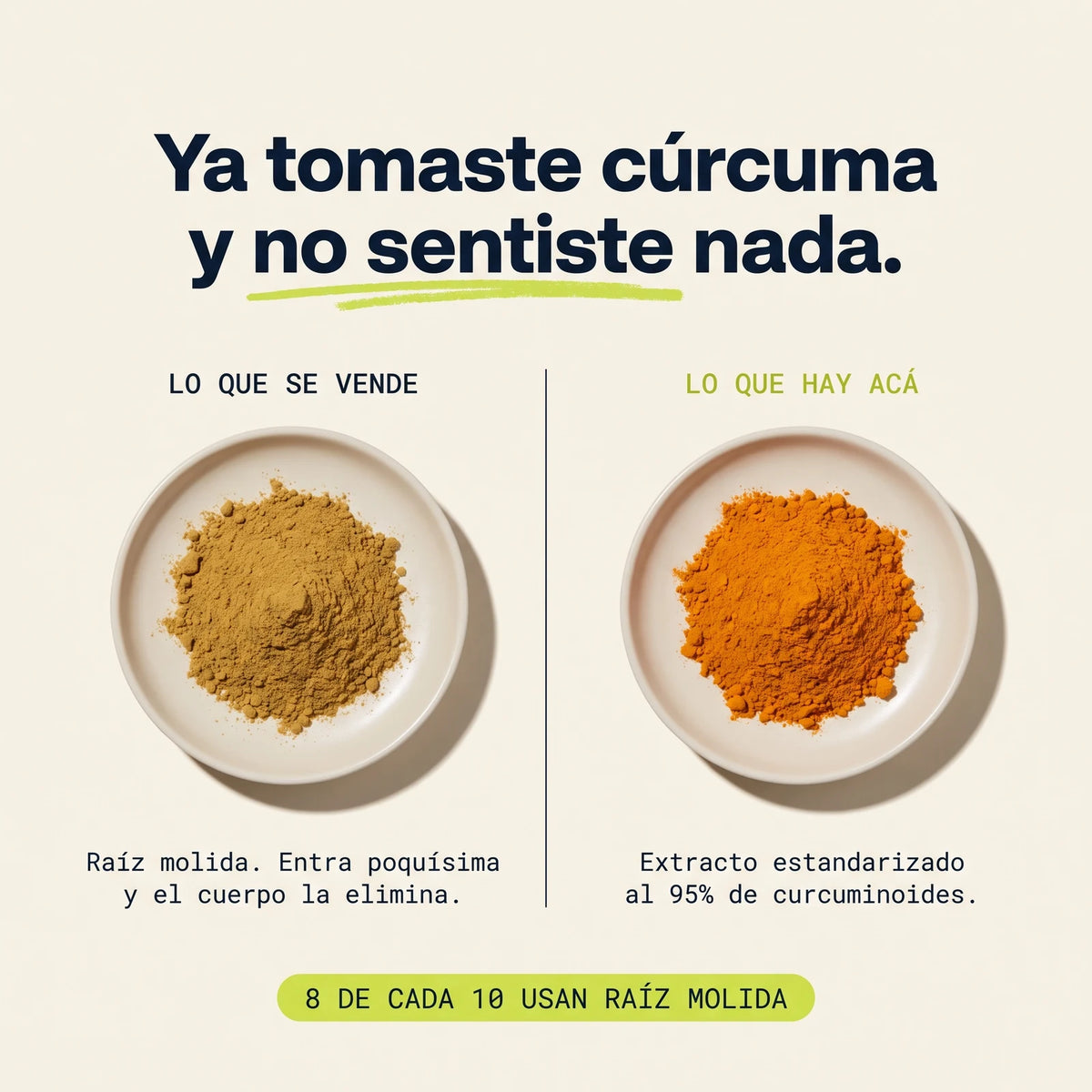 Raíz de cúrcuma molida frente a extracto estandarizado al 95% de curcuminoides