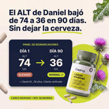 Cardo Mariano | Detox de hígado