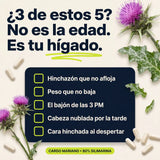 Cardo Mariano | Detox de hígado