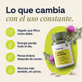 Cardo Mariano | Detox de hígado